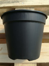 Vaso in plastica nero diametro 14 cm